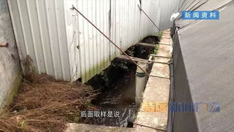 河長制推動河長治 集美區(qū)清退污染溪流養(yǎng)鰻場，啟動“三溪”全面治理