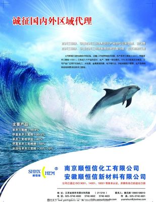 專業(yè)廣告代理服務(wù)，助力品牌傳播新高度
